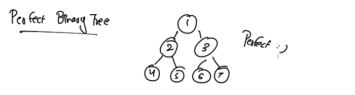 Perfect Binary Tree